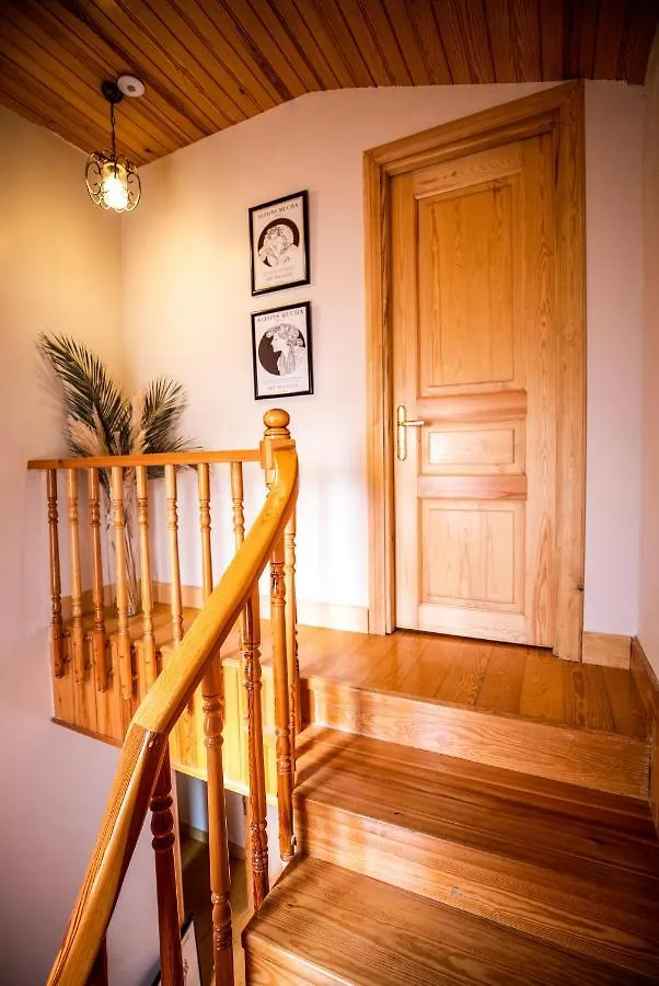 Cosa Zeyrek- Home At The Heart Of Stambuł